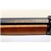 Image 8 : HENRY REPEATING ARMS | Model: Small Game Carbine H001TMLP | Caliber: .22 WIN MAG