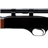 Image 6 : WINCHESTER | Model: 290 | Caliber: .22 LR