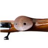 Image 11 : REMINGTON | Model: 788 | Caliber: .222 REM