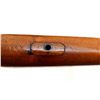 Image 17 : BRITISH LEE ENFIELD | Model: NO1 MKIII* Sporter | Caliber: .303 BR