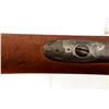 Image 13 : UNKNOWN BELGIAN | Model: Zulu | Caliber: 12 G X 2 3/4"