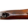 Image 11 : COOEY | Model: 75 | Caliber: .22 LR
