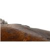 Image 7 : GERMAN MAUSER | Model: 1871 Belgian Conversion | Caliber: NA