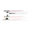 Image 1 : ASSORTED FISHING ROD AND REEL LOT