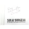 Image 5 : "SINAI SURGEON, THE ADVENTURES OF AN RCAF MEDICAL OFFICER WITH THE UNEF" BOOK
