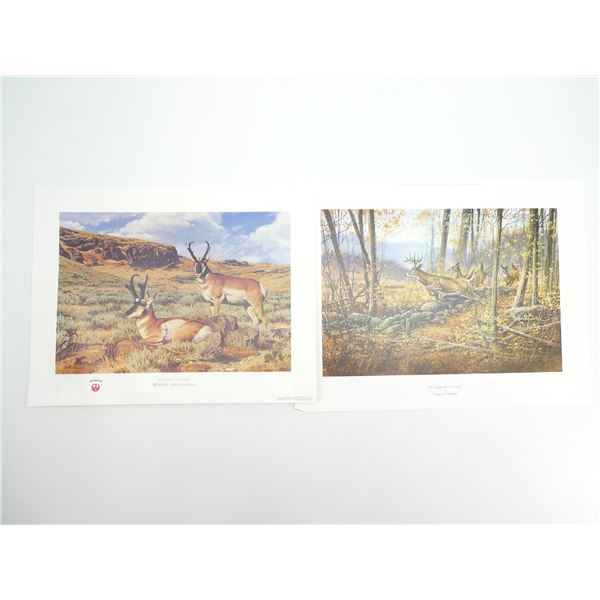 ASSORTED ANTELOPE / DEER PRINTS LOT
