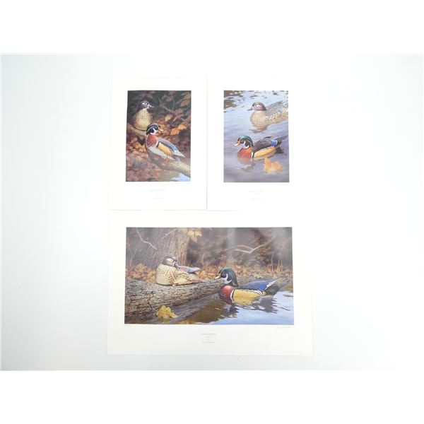 ASSORTED "QUIET WATERS" PRINTS LOT