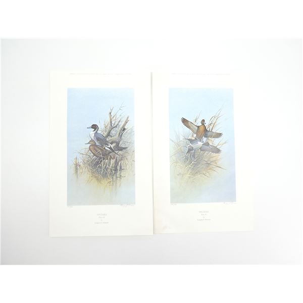 ASSORTED "PINTAILS" PRINTS LOT