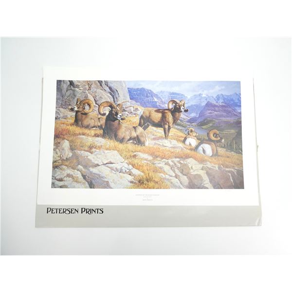 "MASTERS OF THE HIGH COUNTRY, (BIGHORN SHEEP)" PRINT