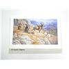 Image 1 : "MASTERS OF THE HIGH COUNTRY, (BIGHORN SHEEP)" PRINT