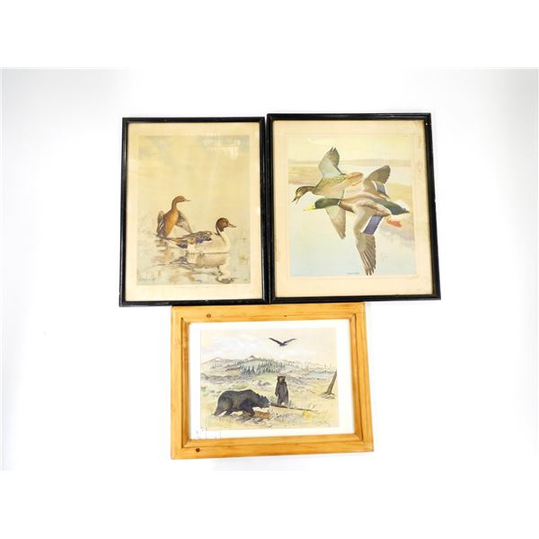 FRAMED ASSORTED WILDLIFE PRINTS LOT