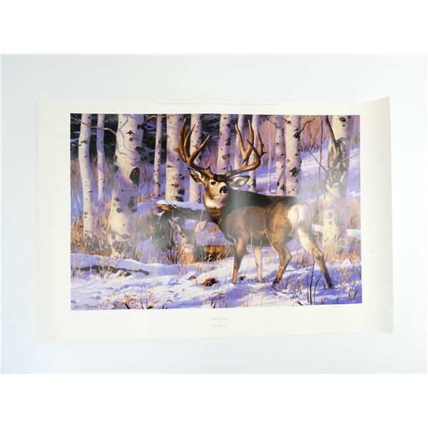 "SNOW BUCK" PRINT