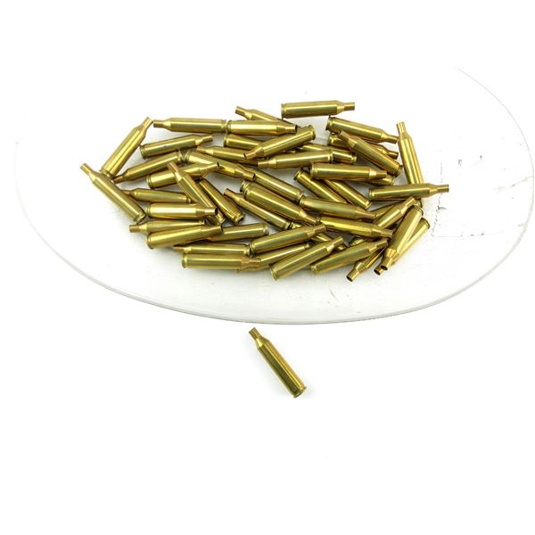 NEW NON-PRIMED REMINGTON .17 REM BRASS CASES LOT