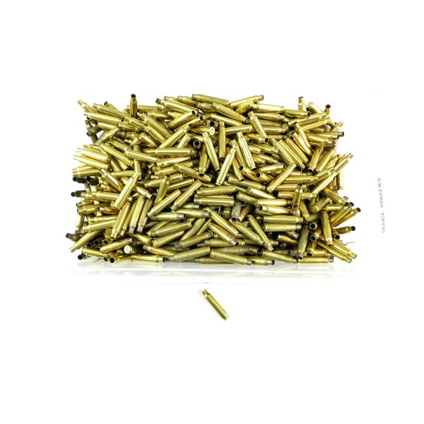 NON-PRIMED ASSORTED .223 REM BRASS CASES LOT