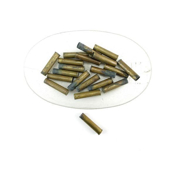 NON-PRIMED WRA. CO. .50-110 EXPRESS BRASS CASES LOT