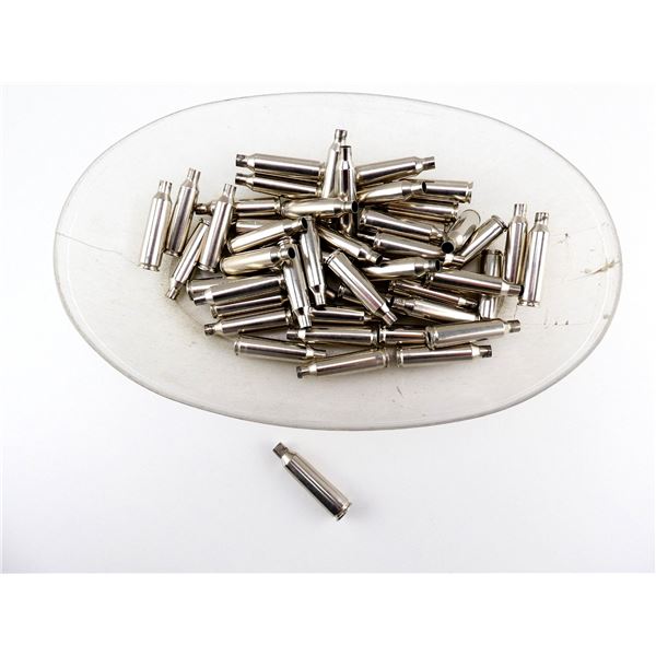 NON-PRIMED WINCHESTER .22-250 REM NICKEL CASES LOT