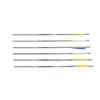 Image 2 : NEW EXCALIBUR 20" FIREBOLT CARBON ARROWS LOT
