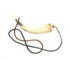 Image 1 : BLACK POWDER HORN