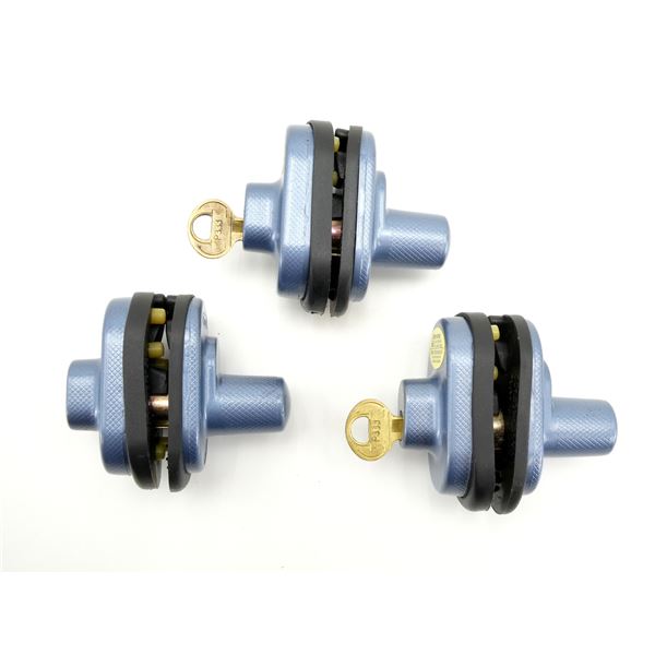 MASTER KEYED TRIGGER LOCKS LOT