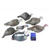 Image 1 : ASSORTED FOAM / PLASTIC TURKEY DECOYS, ETC. LOT
