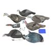 Image 2 : ASSORTED FOAM / PLASTIC TURKEY DECOYS, ETC. LOT