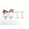Image 1 : UNKNOWN BOOT SPURS AND ARCRON BOOT HOOK LOT