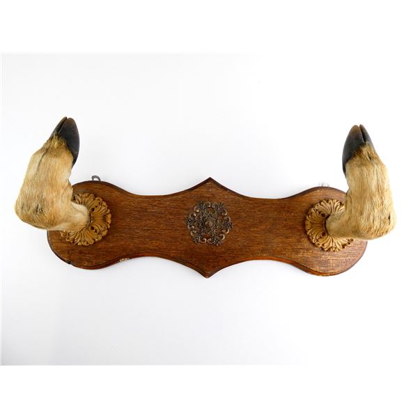 UNKNOWN HOOF SINGLE GUN RACK