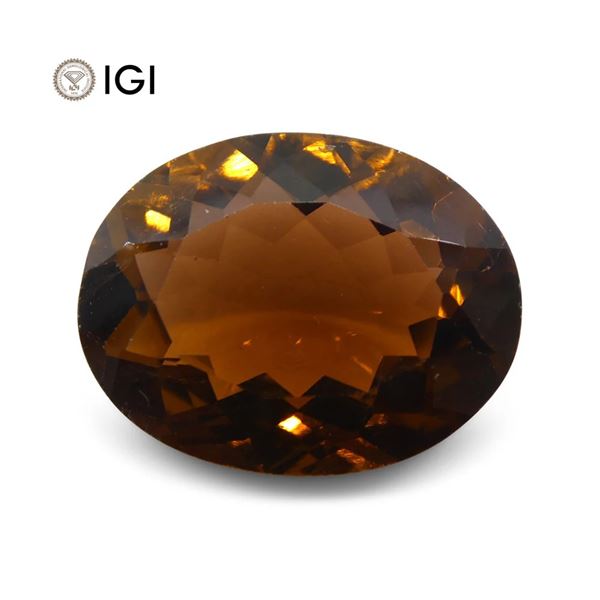 Huge Rare 9.62 Ct IGI Certified Natural Tourmaline