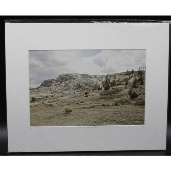 6565 Feet Above Sea Level Rudiger J. Vogel Arizona Desert