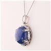 Image 3 : 29.27 ctw Blue BURMESE Sapphire and 0.27 ctw Diamond Platinum Pendant