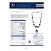 Image 4 : 100.48 ctw Fancy Black Diamond Platinum Necklace (103.42 ctw Diamonds)