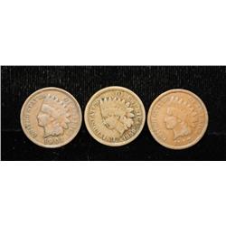 Lot of 3 Indian Head Pennies 1859 - 1901 - 1907