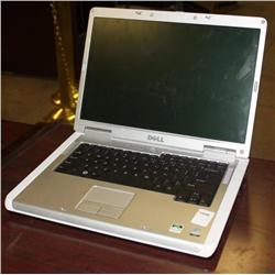 Dell Inspiron 1501