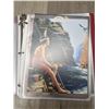 Image 8 : Collection Of Vintage Pin Up Girl Pictures (Including The Iconic Nude Marilyn Monroe Cut Out)