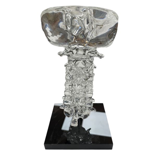 Resin Replica Portion Of Human Spin From A Popular TV Show