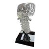 Image 2 : Resin Replica Portion Of Human Spin From A Popular TV Show