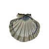 Image 1 : Artist Signed Mussels & More Potteries Bear Claw Clam Shell