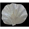 Image 1 : Iridescent Shell Bowl