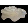 Image 2 : Iridescent Shell Bowl