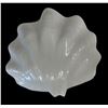Image 3 : Iridescent Shell Bowl