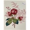 Image 4 : Vintage Spode "Lady Anne" Floral Charger