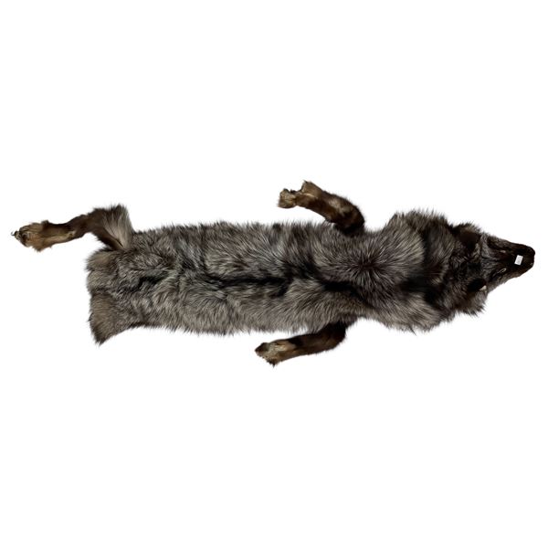 Vintage Taxidermy Silver Fox Pelt