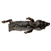 Image 1 : Vintage Taxidermy Silver Fox Pelt