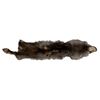Image 2 : Vintage Taxidermy Silver Fox Pelt