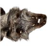 Image 3 : Vintage Taxidermy Silver Fox Pelt