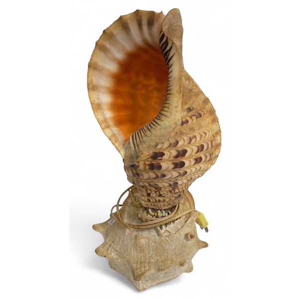 Vintage Hand Made Seashell Table Lamp