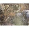 Image 2 : Carl Brenders "One to One - Gray Wolf" Ltd Edition Print in Folio