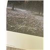 Image 2 : Stephen Lyman "Cathedral Snow" Ltd. Edition Print in Folio