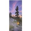 Image 2 : Stephen Lyman "Fire Dance" Ltd. Edition Print in Folio