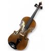 Image 1 : Violin in Fitted Case